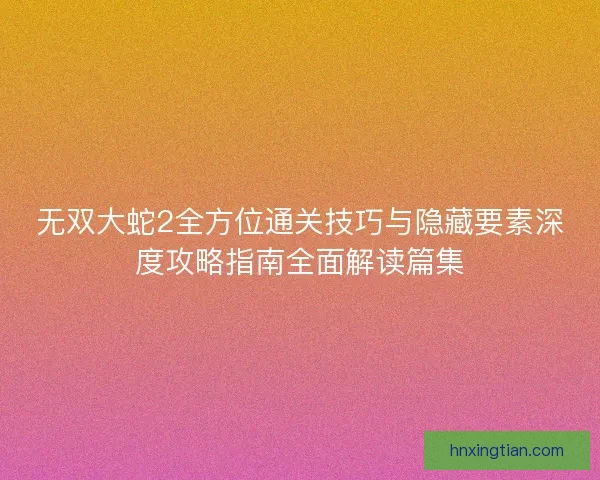 无双大蛇2全方位通关技巧与隐藏要素深度攻略指南全面解读篇集
