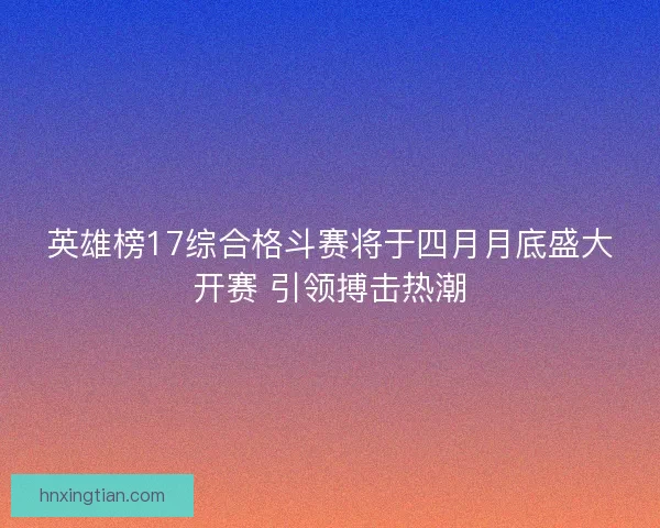 英雄榜17综合格斗赛将于四月月底盛大开赛 引领搏击热潮